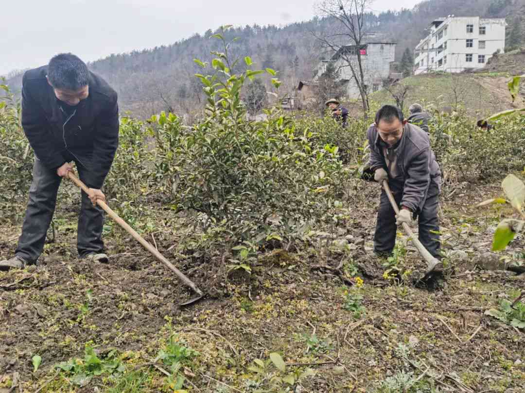 3000元逾期一天的安逸花利息计算方法及还款攻略