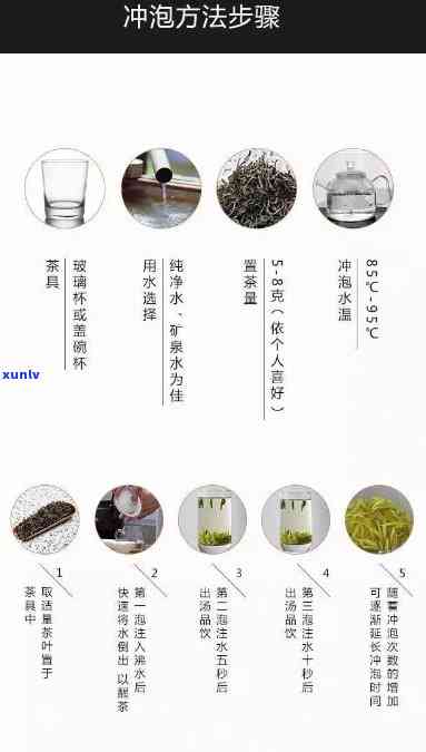 普洱茶泡法全解析：怎样冲泡才能品尝到普洱茶的醇美？