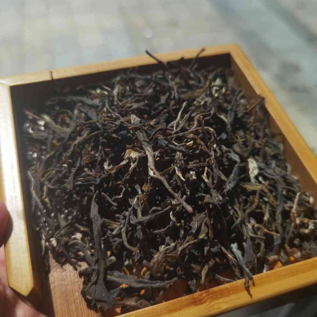 普洱茶小众又好喝的茶叶