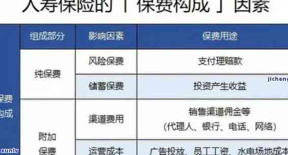 中国人寿保险费逾期解决方案全面解析：如何处理、影响与预防