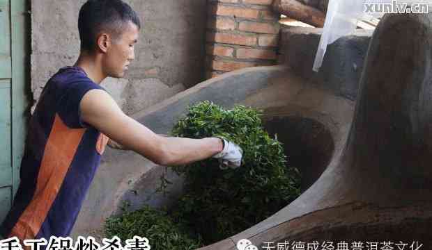 普洱茶摇香制作工艺详解：茶叶香气的手法与流程