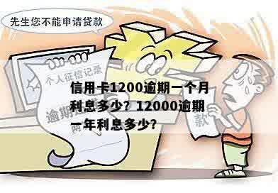 信用卡逾期一年的费用清算：12000元的逾期利息和罚款全解析