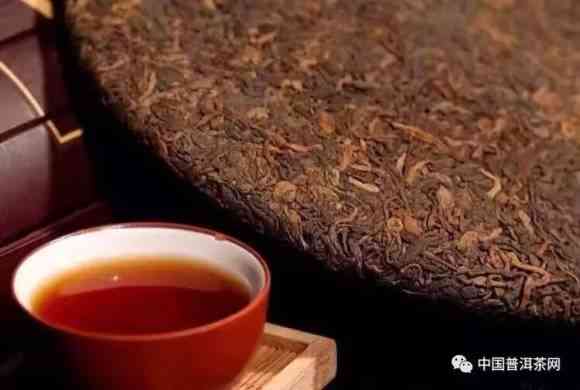 大厂出品的普洱茶全面解析：哪些值得信？