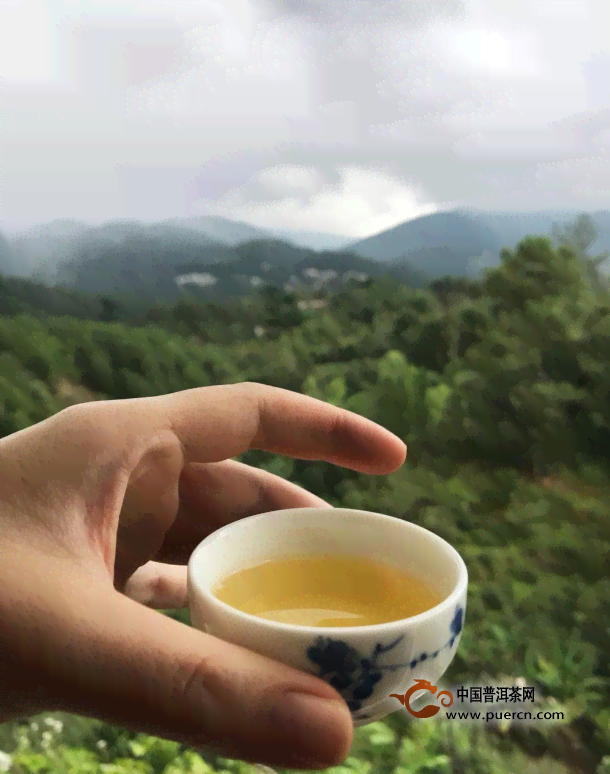 雅芝捐赠普洱茶的真相揭秘：她为什么选择捐赠普洱茶？