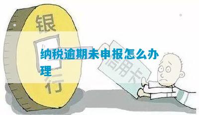 个税逾期未申报可以在网上补报吗