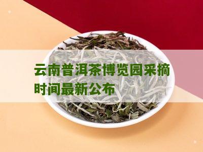 普洱茶博览苑退货流程