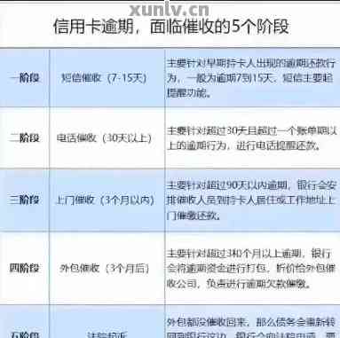 中信逾期五天：后果、利率与是否全方位解析