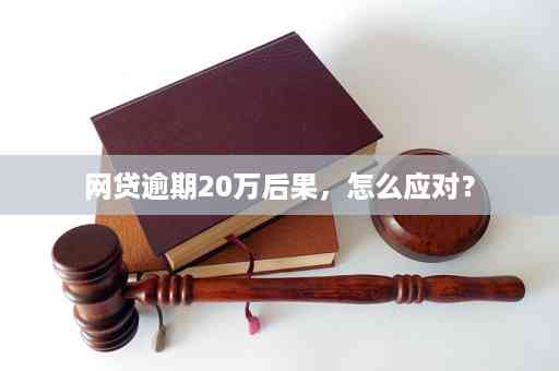 全面解析：网贷逾期20天如何妥善处理？了解逾期后果、应对策略及解决方案！