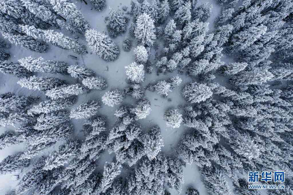 天山翠很久没戴长了像雪花一样的东西