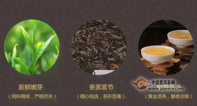 如何采购普洱茶存放方法：全攻略