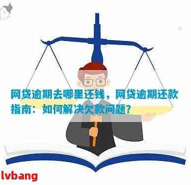 网贷逾期还款攻略：如何顺利完成逾期后的还款操作