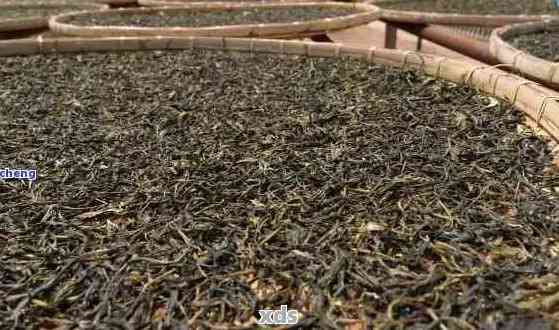 普洱茶的制作工艺：细茶与品质之间的关系解析