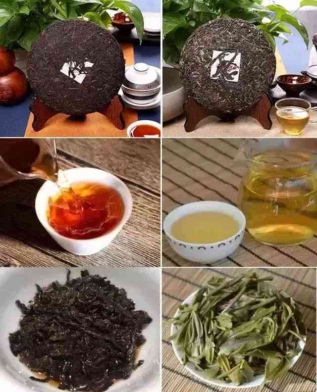 普洱茶熟茶100克小饼：品种、产地、制作工艺、口感特点与冲泡方法全面解析