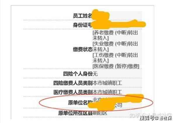 芝麻背调：是否会查询社保记录以及其他可能被调查的信息？