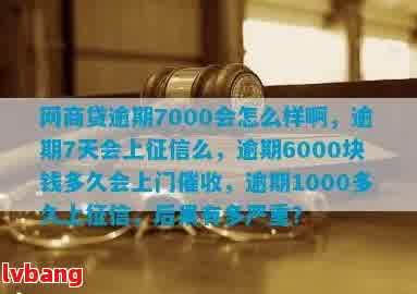 全面解析：网贷逾期7000元可能面临的影响和解决方案