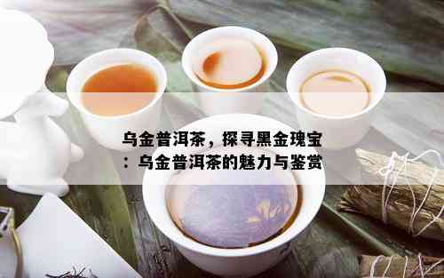 乌金普洱茶的醇厚口感与独特特点：一种茶叶的诠释