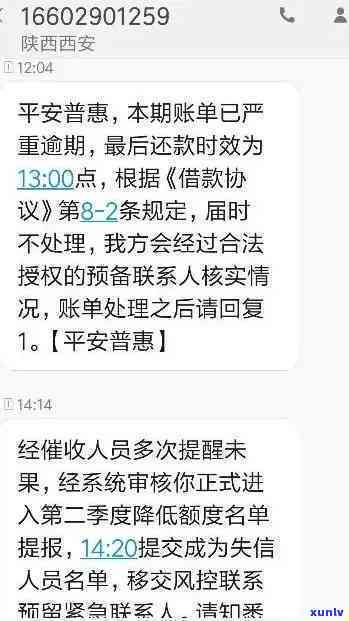 关于平安易贷逾期还款：是否会面临起诉的风险？