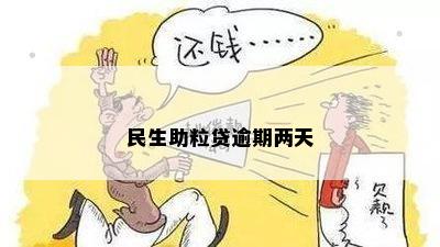 民生助粒贷逾期4天的影响与应对策略