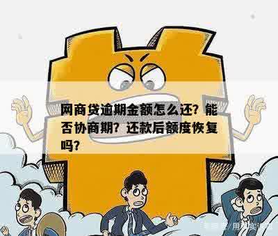 网商贷逾期金额仅需几块，如何妥善处理及解决方案探讨