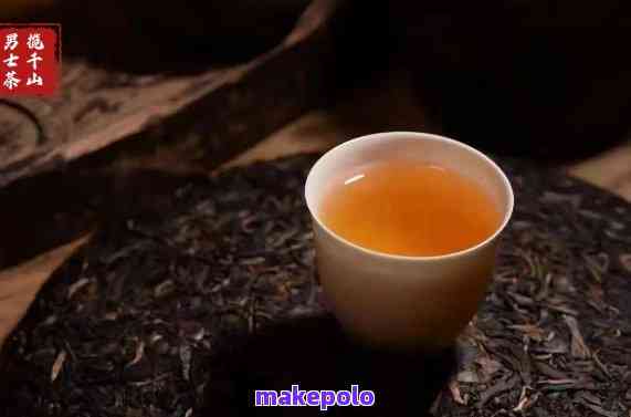 云南边境的普洱茶：云南普洱茶的独特魅力与特点