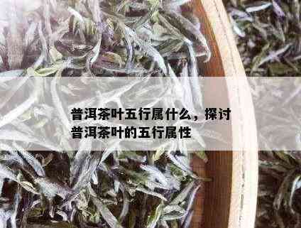 为什么普洱茶占尽五行之土