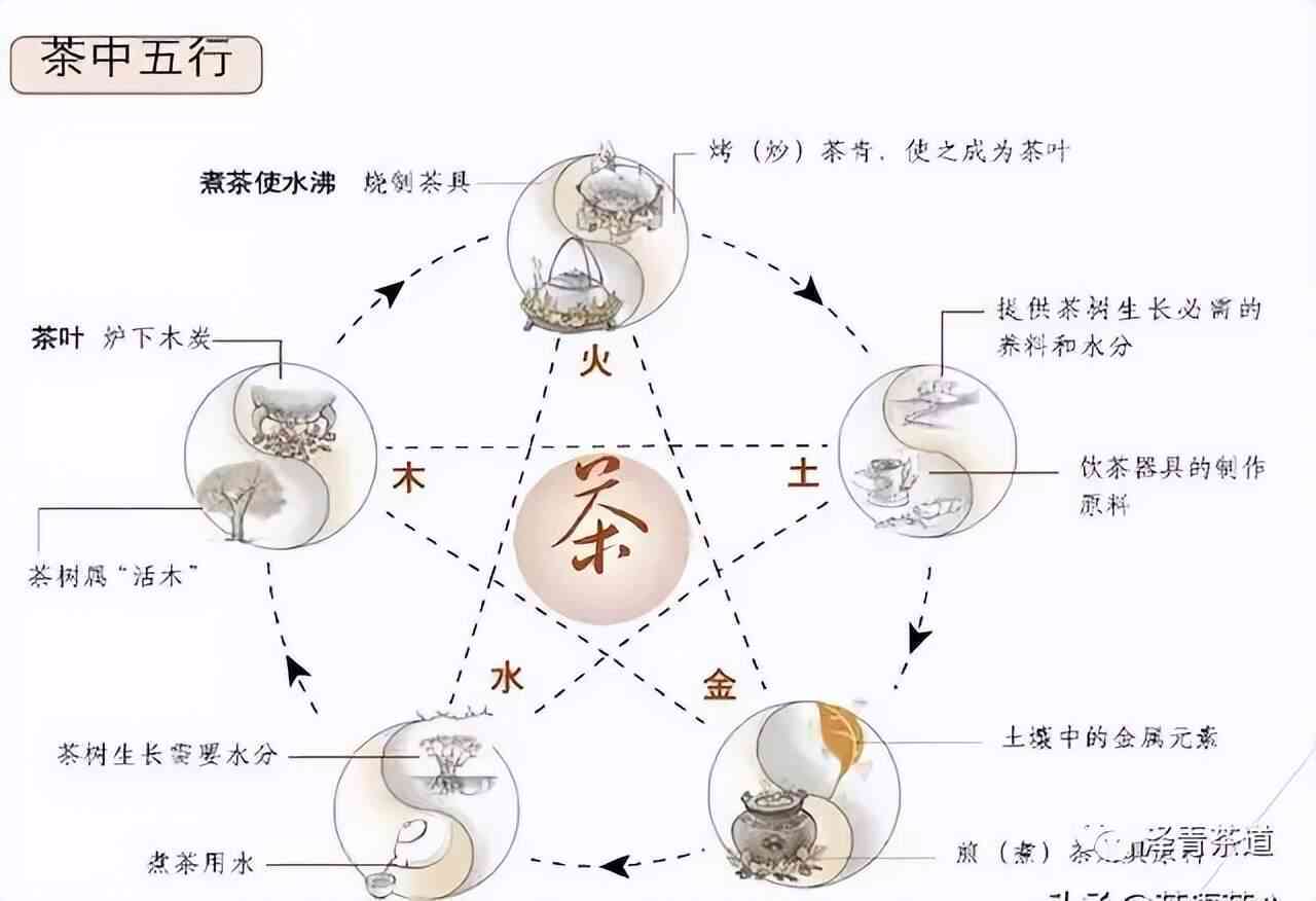 为什么普洱茶占尽五行之土