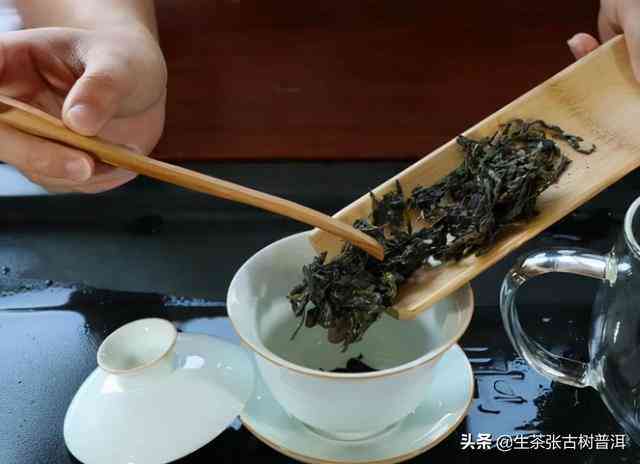 熟普洱茶带有青叶味：原因、影响与饮用建议