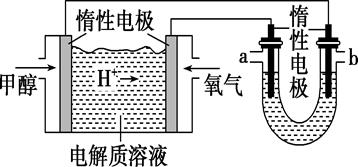 普洱茶中油脂溶解的科学原理及其对健的影响分析