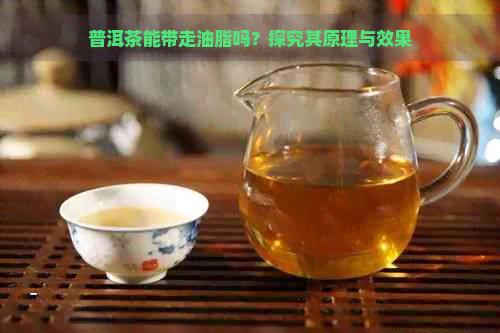 普洱茶溶解油脂的实验原理