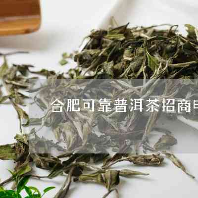 合肥普洱茶招商条件有哪些呢现在