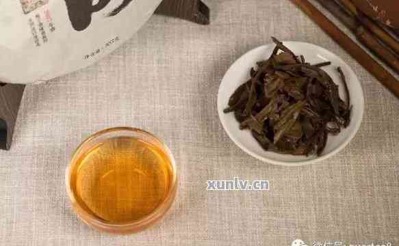 普洱茶新茶没有味道正常吗？为什么不能喝？还有苦味？