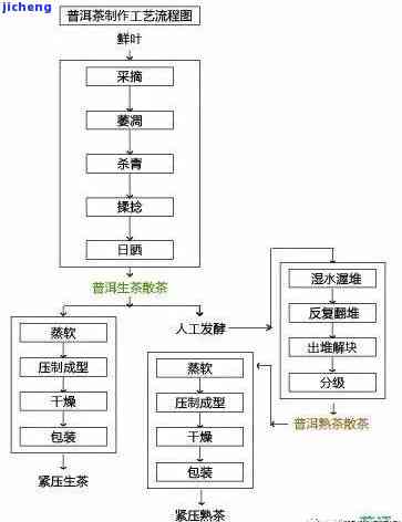 '普洱茶不是普洱生产的吗？普洱茶的产地和生产过程解析'