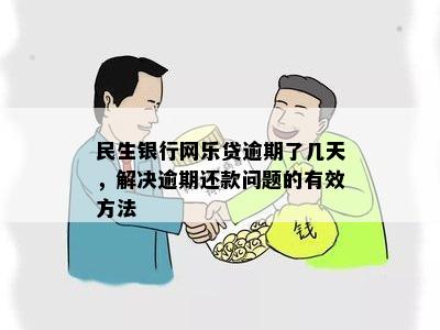 民生银行网乐贷逾期问题解决方法与法院执行全过程详解