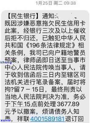 民生银行网乐贷逾期问题解决方法与法院执行全过程详解