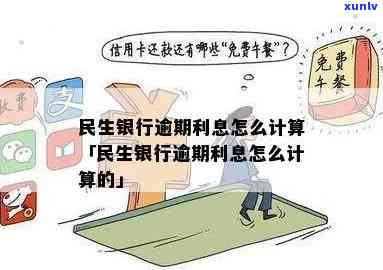 民生银行信用卡逾期日利率计算方法及详细说明