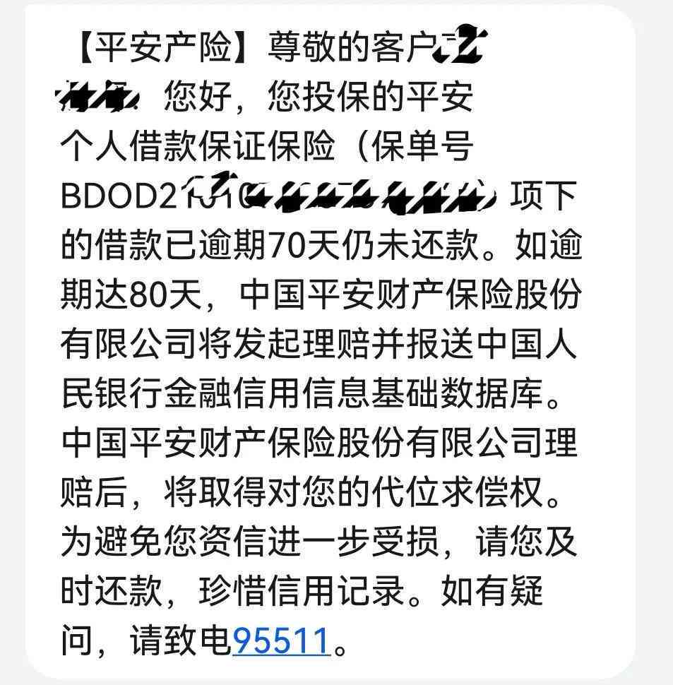 平安普贷款逾期还款的后果与解决办法