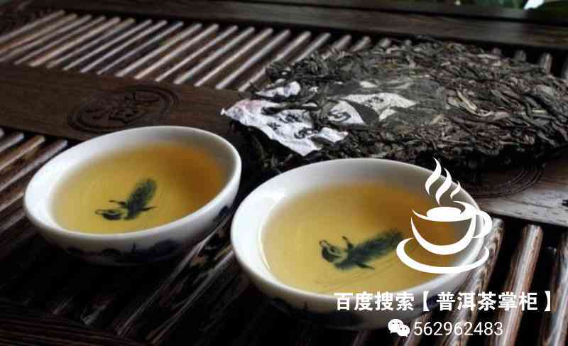 普洱茶和菌茶的区别在哪里