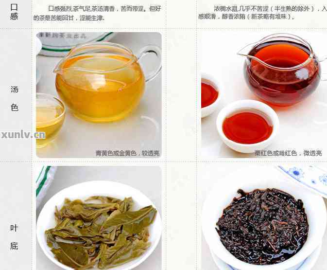 云南丽江特色普洱茶品种及其独特口感分析