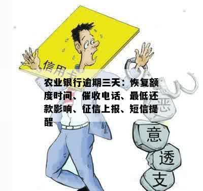 农行贷款逾期了还了要什么时候恢复额度