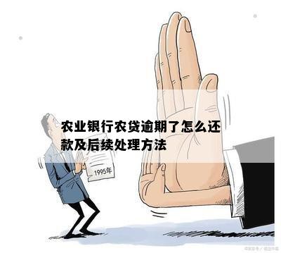 农行贷款逾期了还了要什么时候恢复额度