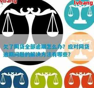 企业网贷逾期可能带来的全面后果及应对措