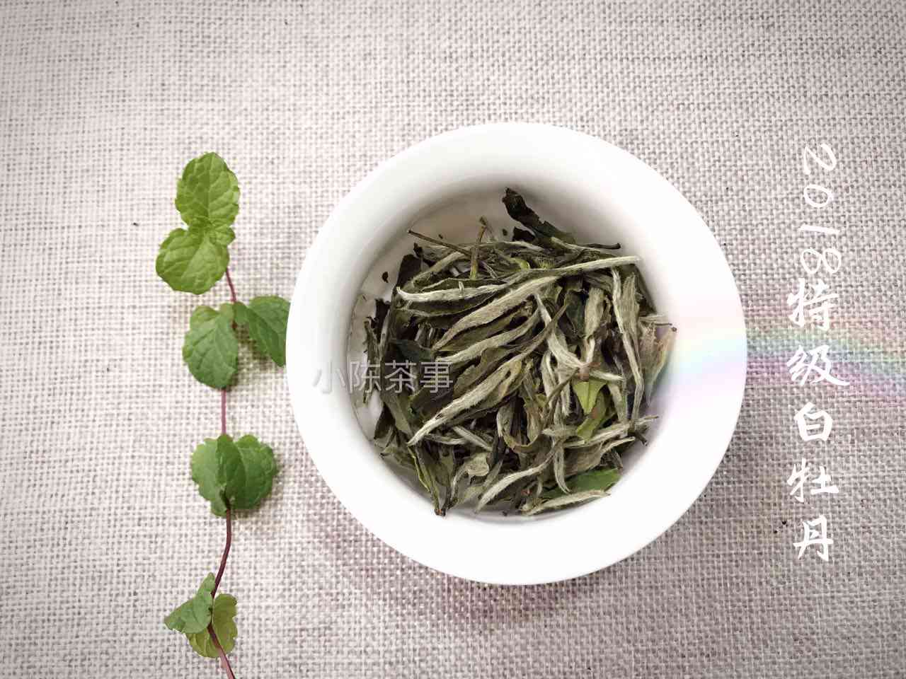 普洱茶：散茶与饼茶的优缺点对比，哪种更适合您？