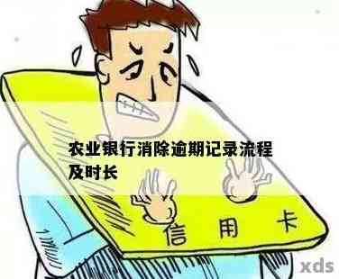 解决农行贷款逾期一天记录消除难题：全面指南与应对策略