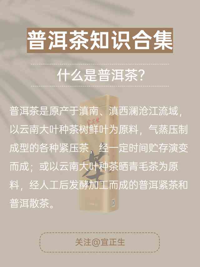 如何快速学讲解普洱茶知识