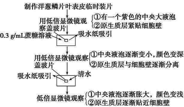 普洱茶的完美存条件：度、湿度及其它关键因素解析