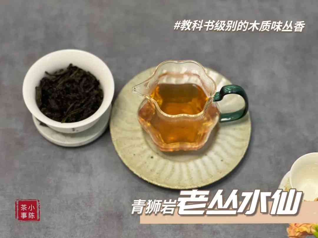 普洱茶买哪种好点的比较好