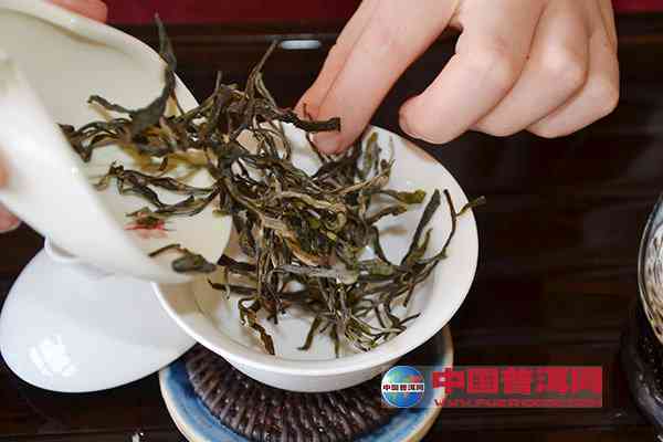 投茶比例对普洱茶口感的影响：多少比例才能呈现出效果？