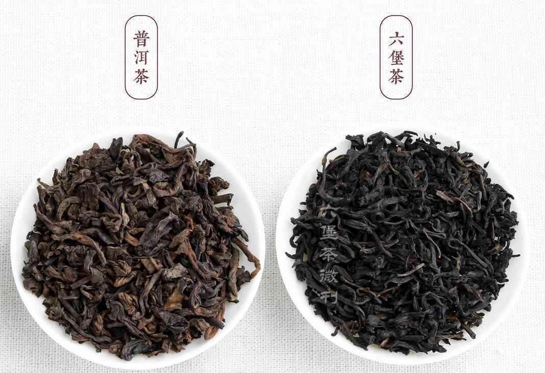 普洱茶加龙眼的功效与禁忌