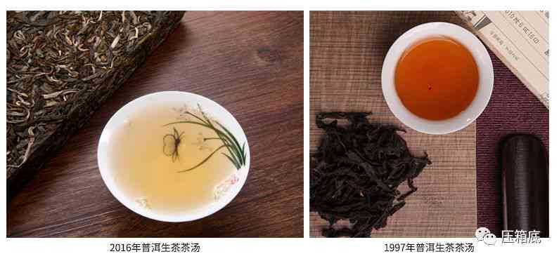 海玉直播普洱茶品质鉴别：是学费茶还是值得购买的好茶？