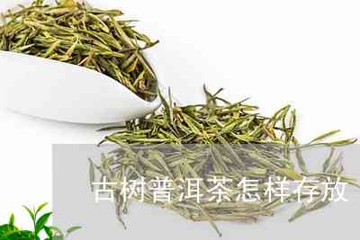 古树普洱茶藏方法有哪些